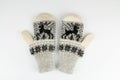 Women`s winter knitted mittens on a white background Royalty Free Stock Photo