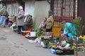 Elderly women sell flowers at the Kalvariju market in Vilnius, Lithuania