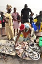 Women selling fish at the market, senegal
