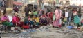 Women selling fishes at imphal bazar Royalty Free Stock Photo