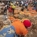 Women selling fresh tomatoes on street market, Uganda. Traditional African market with basekets full of tomatoes. Royalty Free Stock Photo