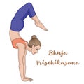 Women silhouette. Arm Balance Scorpion Yoga Pose. Bhuja Vrischikasana