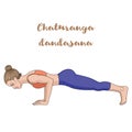 Women silhouette. Four-Limbed Staff Pose. Low Plank yoga pose. Chaturanga Dandasana