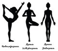 Women silhouette. Lord of the dance yoga pose. Natarajasana. mountain .