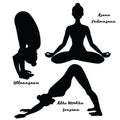 Women silhouette. Yoga lotus pose. Padmasana. Adho mukha svanasana. Downward dog. Uttanasana, forward fold.