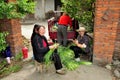 Pengzhou, China: Women Bundling Garlic Greens