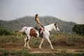 Women on skirt dress Riding Horses On field landscape Against forest. Royalty Free Stock Photo