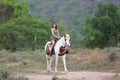 Women on skirt dress Riding Horses On field landscape Against forest. Royalty Free Stock Photo