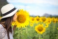 Women smells sunflower in nature Royalty Free Stock Photo