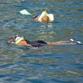 Women snorkeling