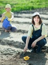 Women sows seeds in soil