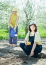 Women sows seeds in soil Royalty Free Stock Photo