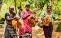 Women spin coconut hair by hand, turning it into a strong rope