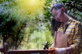 Women standing builder wearing checked shirt worker of construction site hammering nail in the wooden Royalty Free Stock Photo