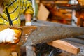 Women standing is craft working cut wood at a work bench with circular saws power tools at carpenter machine Royalty Free Stock Photo