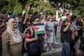 The women standing in the crowd of pro-Palestine activists with Palestinian flag during the rally at Tunis.