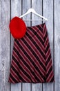 Women striped skirt hanging on hanger.