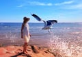 women in summer dress hat on beach seagull on pier at sea water wave reflection blue sky travel leisure island c