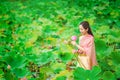 Women in Thai dresses collect lotus flowers boat