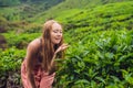 Women tourist at a tea plantation. Natural selected, Fresh tea l Royalty Free Stock Photo