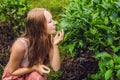 Women tourist at a tea plantation. Natural selected, Fresh tea leaves in tea farm in Cameron Highlands, Malaysia Royalty Free Stock Photo