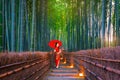 Women tourists wearing Cheongsams Walking through the bamboo forest in Kyoto, Japan Royalty Free Stock Photo