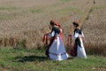 Women in traditional costumes go into the field to harvest wheat