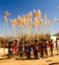 Women in traditional costumes marching at Umhlanga aka Reed Dance 01-09-2013 Lobamba, Swaziland