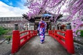 Women in traditional japanese kimono walking on bridge in the cherry blossom season