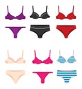 Women underwear flat vector