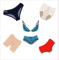 Women underwear, panties and bra, vector isolated