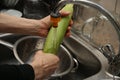 A women using a colander and a kitchen sink to wash an ear of corn. Royalty Free Stock Photo
