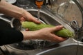 A women using a colander and a kitchen sink to wash an ear of corn. Royalty Free Stock Photo