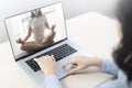 Women using laptop learning yoga at home via yoga online training. Woman studying yoga at home via videoconferencing. women start