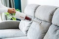 Women using wireless vacuum cleaner cleaning sofa in living room at home. Close up Royalty Free Stock Photo