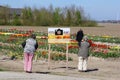 Women are visiting the tulips show in Flevoland, Noordoostpolder, Netherlands