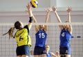 Women volleyball action