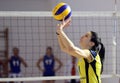 Women volleyball action