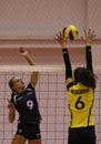 Women volleyball players in action