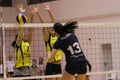 Women volleyball players in action