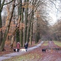 women walk dogs in forest on last day of autumn in foreswt