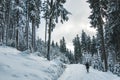 Women walking in the forest in winter time covered with white snow and wearing dark clothing