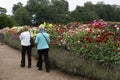 Women walking in a garden