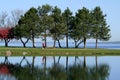 Women Walking Through Park in Spring