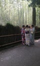 Women wearing kimoni bamboo forest Royalty Free Stock Photo