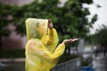 Women wearing yellow raincoat while raining in rainy season