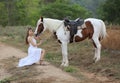 Women on white dress standing by Horse On field Against mountain. Royalty Free Stock Photo