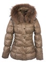 Women winter coat