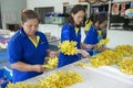 Women work at the orchid farm in Samut Songkram, Thailand.