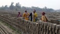 Women working in brick field with men. The contribution of women behind the economic development of Bangladesh is undeniable. Royalty Free Stock Photo